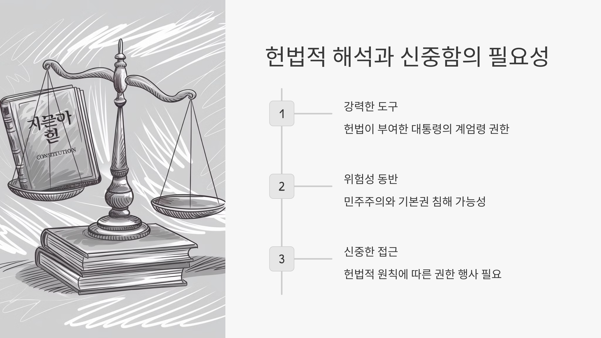 📝 결론: 헌법적 해석과 신중함의 필요성