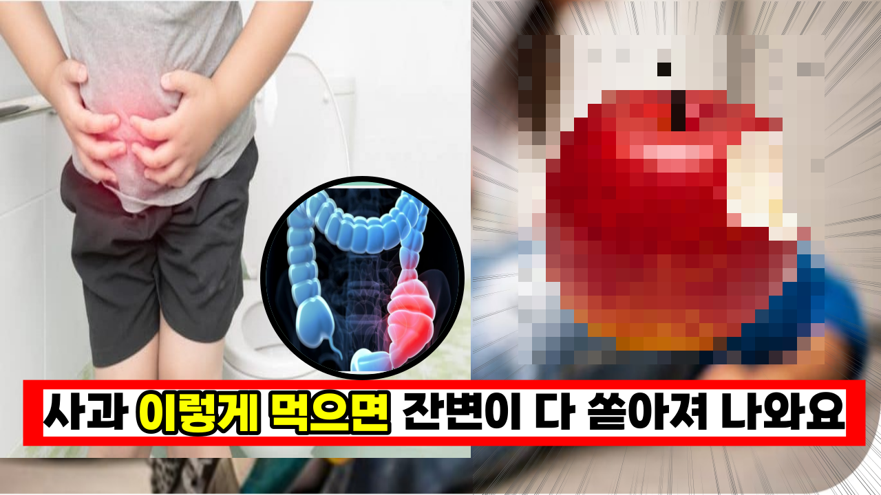  사과 그냥 먹지 말고 꼭 이렇게 드세요. 잔변 다 쏟아져 나오게 됩니다.