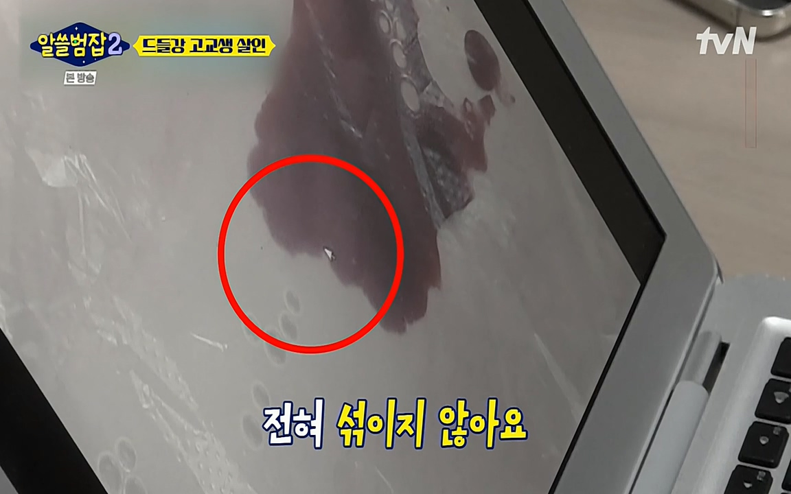 알쓸범잡 2.E15.220425p-NEXT.mp4_20220425_190426.648.jpg