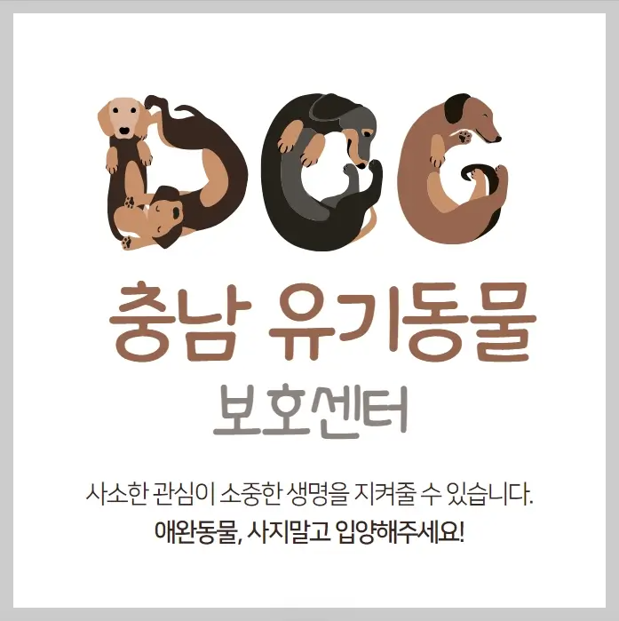 충남-유기동물보호센터-강아지-고양이-유기동물보호소