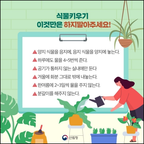 식물키우기 주의사항