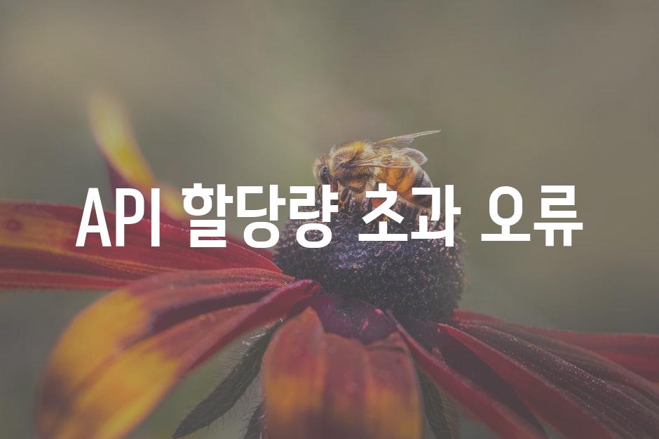 API 할당량 초과 오류 4