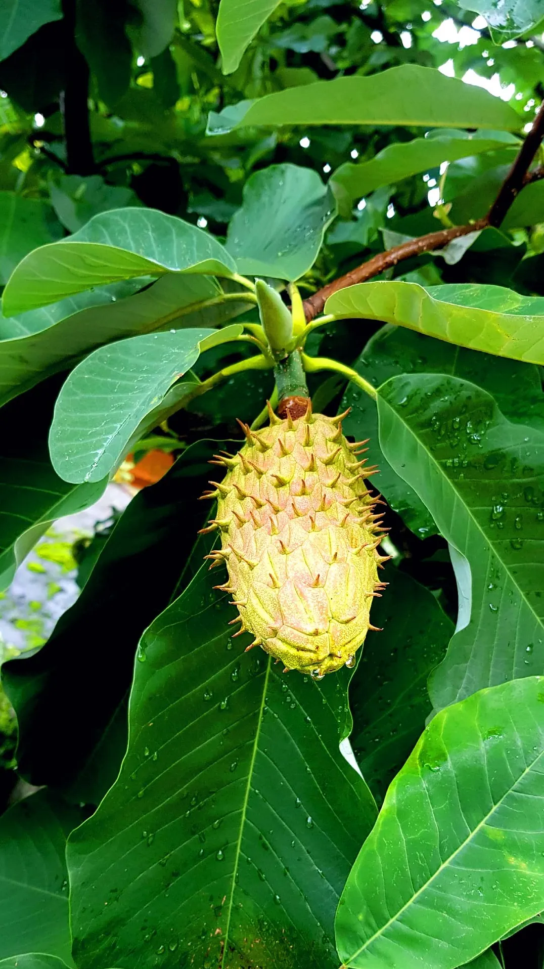 지리산 칠선계곡