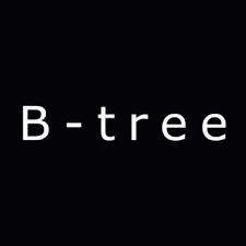  B Tree