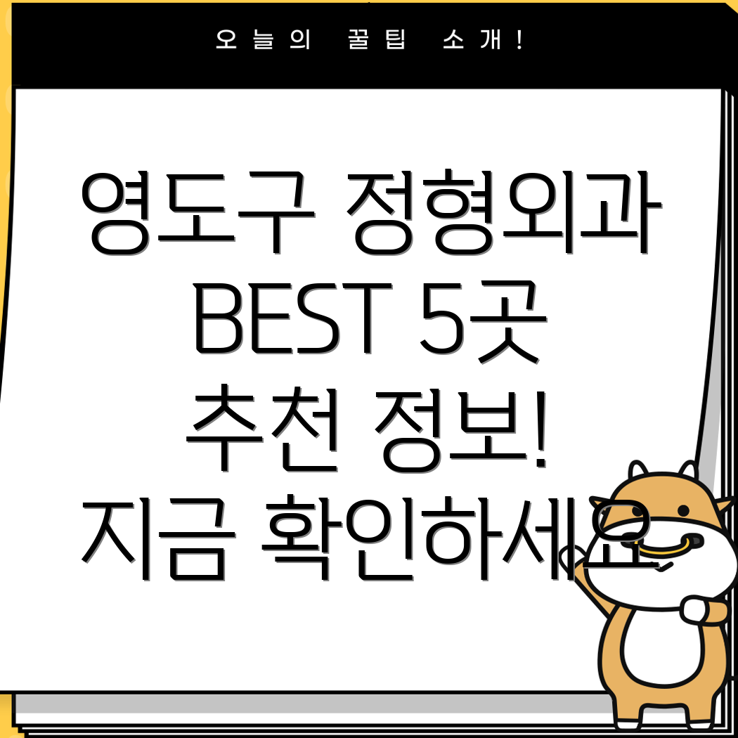 부산 영도구 봉래2동 정형외과 BEST 5 추천 정보