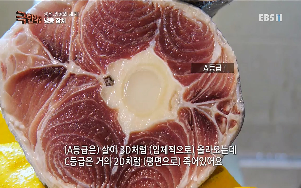 TV - 교육의 중심 EBS생선가공의 세계!-냉동참치, 참치액. 순살생선-.mp4_20220906_200516.527.jpg
