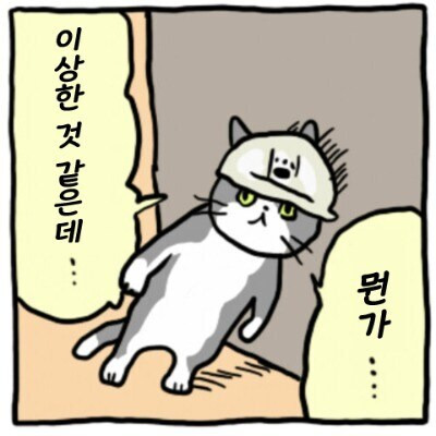 img.jpg