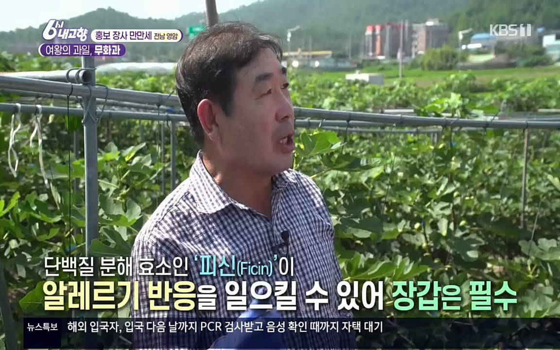 6시 내고향.E7602.220824p.H264-F1RST.mp4_20220825_171314.845.jpg