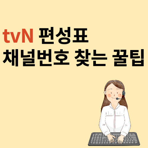 tvN 편성표 확인 및 채널번호 찾는방법