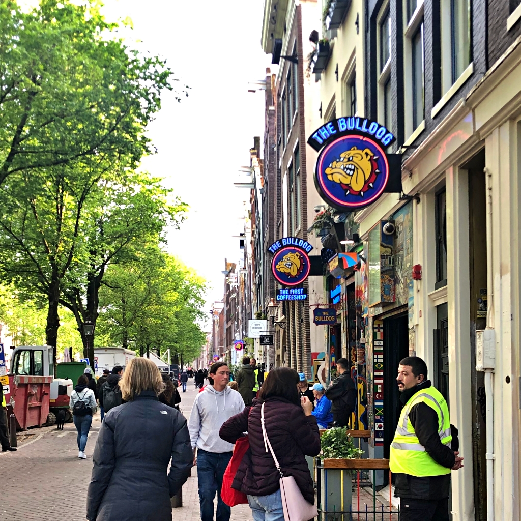 암스테르담 불독샵 간판