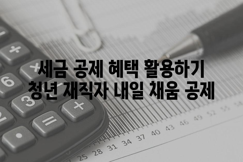 세금 공제 혜택 활용하기 청년 재직자 내일 채움 공제