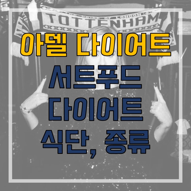  아델 다이어트 서트푸드 다이어트 방법, 식단, 서트푸드 종류 알아보기