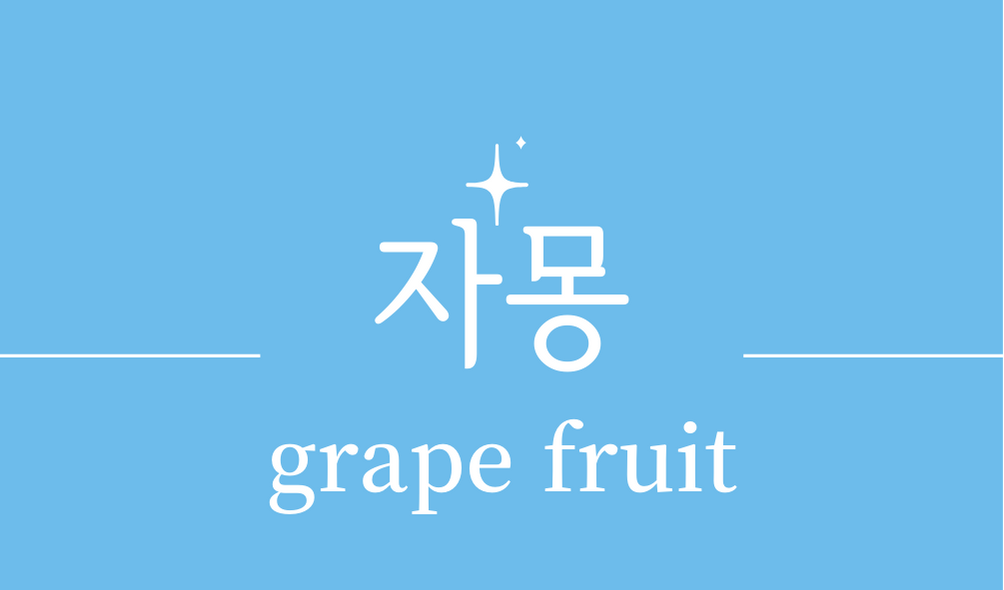 &#39;자몽(grape fruit)&#39;
