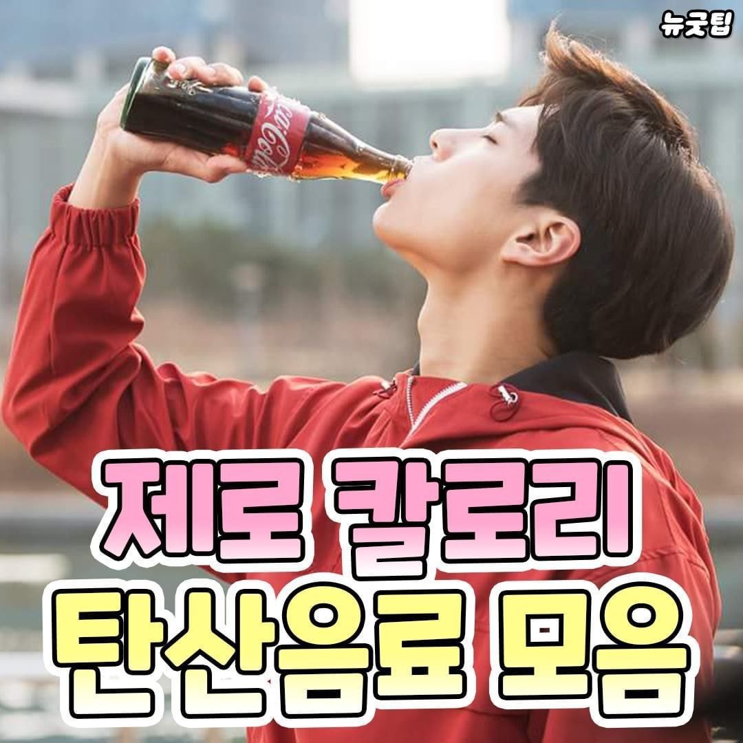  제로 칼로리 탄산 음료 모음.jpg