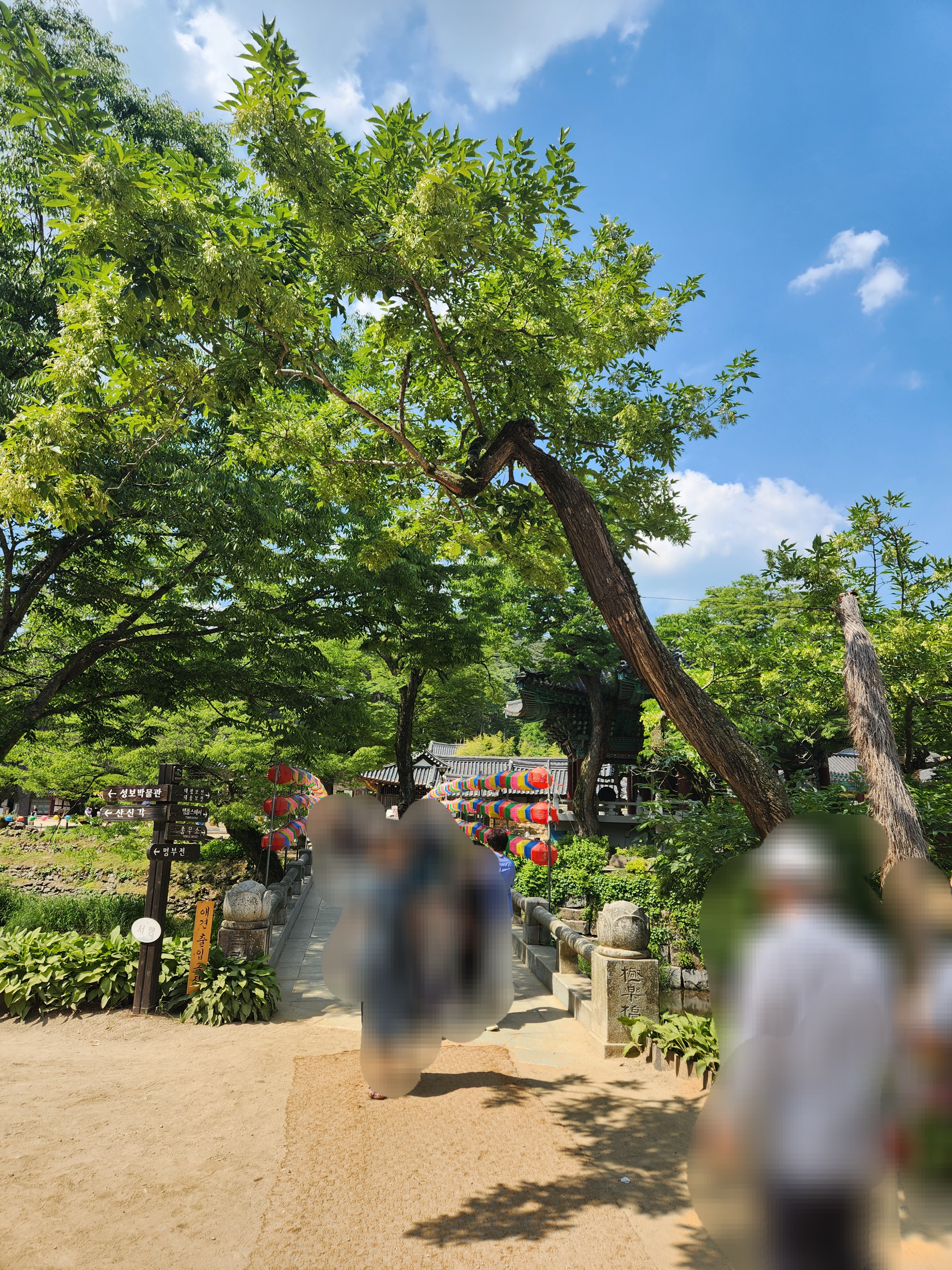 대전 세종 공주 가볼만한곳 마곡사