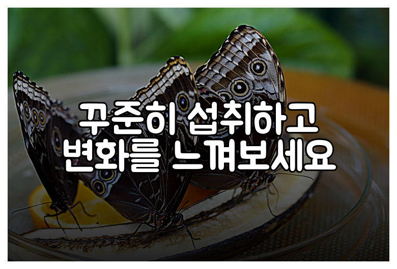 꾸준히 섭취하고 변화를 느껴보세요