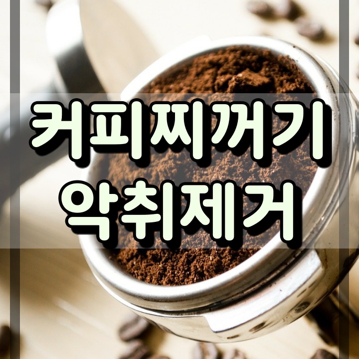  커피 찌꺼기 악취 제거 이유