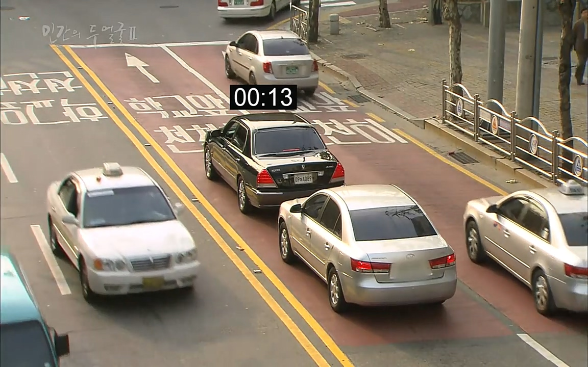 EBS 다큐프라임 - Docuprime, 인간의 두 얼굴2 제2부 아름다운 세상.mp4_20220608_205324.247.jpg