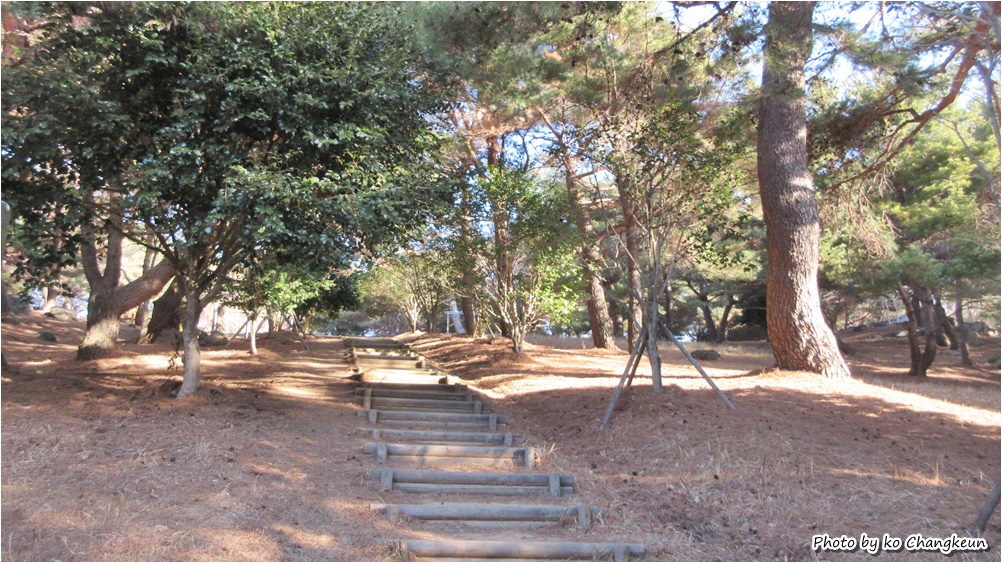 쌈지거제 이미지