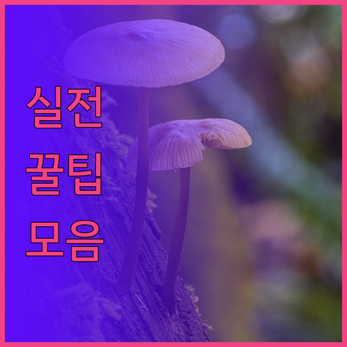 해변과 가까운 헤이그 호텔 세 곳 추
