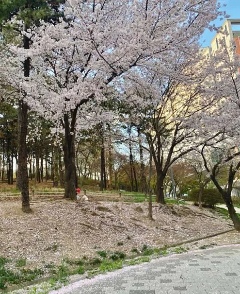 성정공원