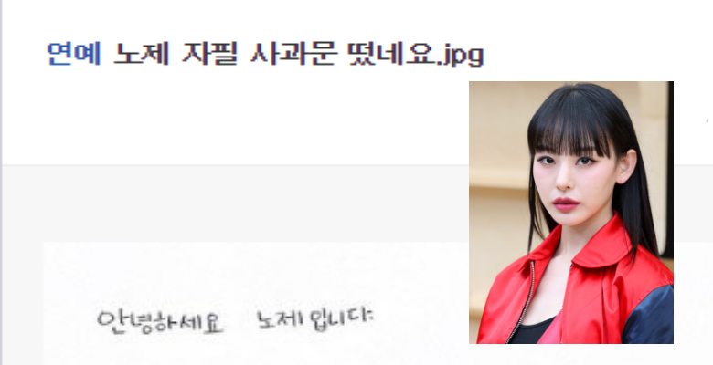  댄서 노제 자필 사과문.jpg