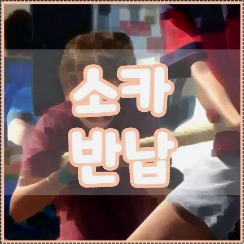 소카 반납