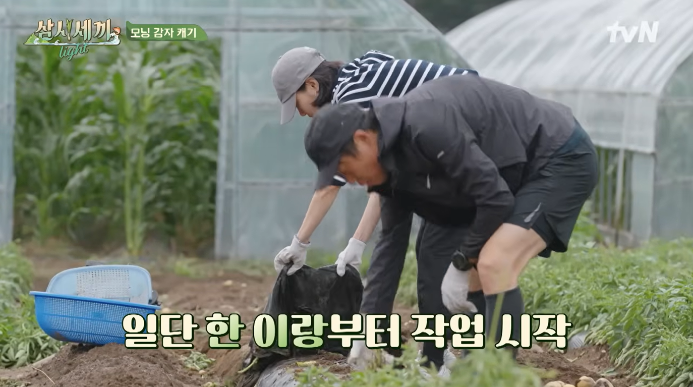 삼시세끼 라이트 4화 이미지