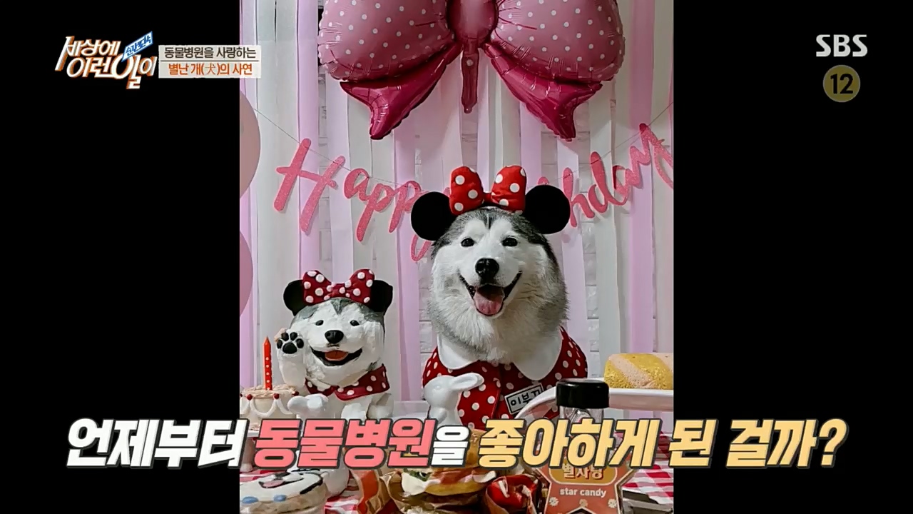 순간포착 세상에 이런일이.E1207.221130p.H264-F1RST.mp4_20221130_195702.040.jpg