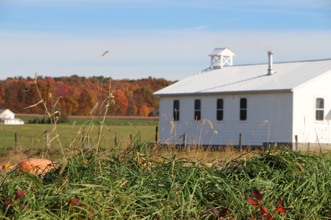 Farmland