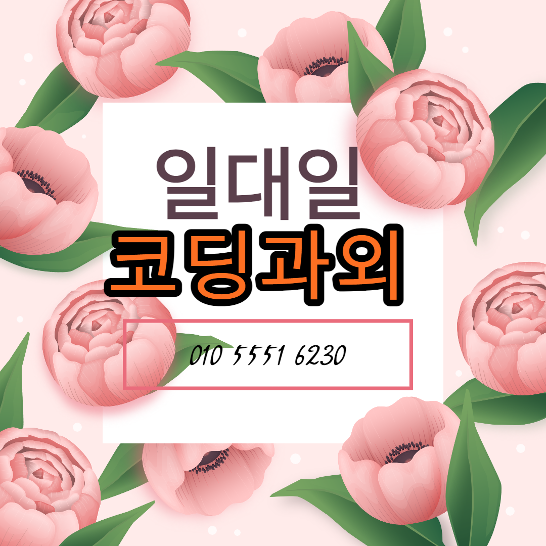  서버 웹개발 프로그래머 코딩과외 수강료 저렴하게
