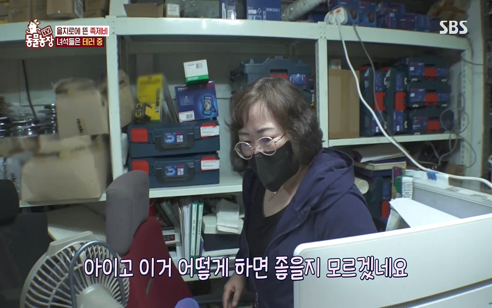 TV 동물농장.E1088.220925p.H264-F1RST.mp4_20220925_174400.136.jpg