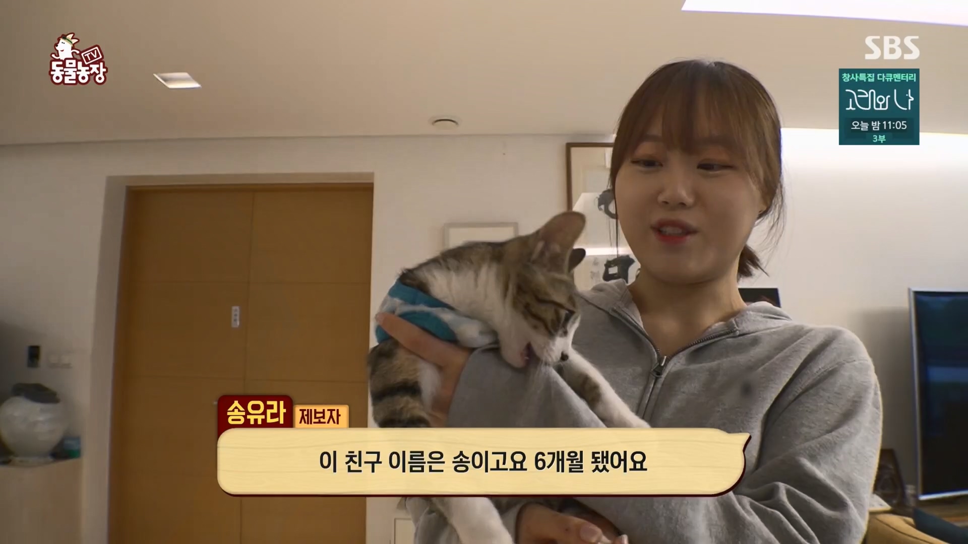 TV 동물농장.E1148.231203p.H264-F1RST.mp4_20231203_165831.026.jpg