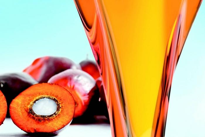  레드 팜 오일 Red Palm Oil 에 대해서 알아봅시다.