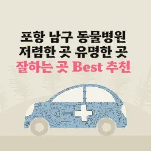 포항 남구 동물병원 잘하는 곳 가격 저렴한 곳 추천