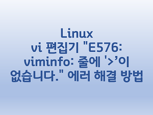  [Linux] vi 편집기 "E576: viminfo: 줄에 '>'이 없습니다." 에러 해결 방법