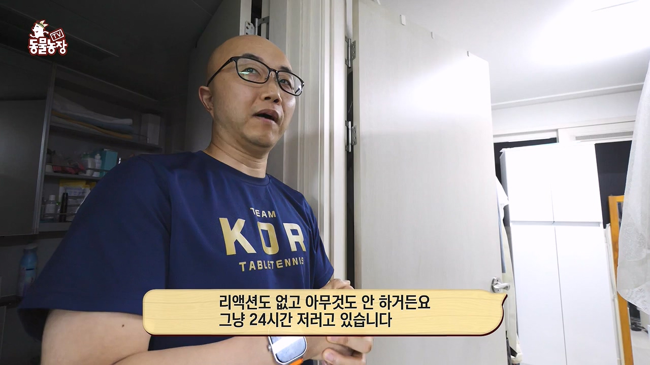 TV 동물농장.E1179.240708p-NEXT.mp4_20240707_160431.704.jpg