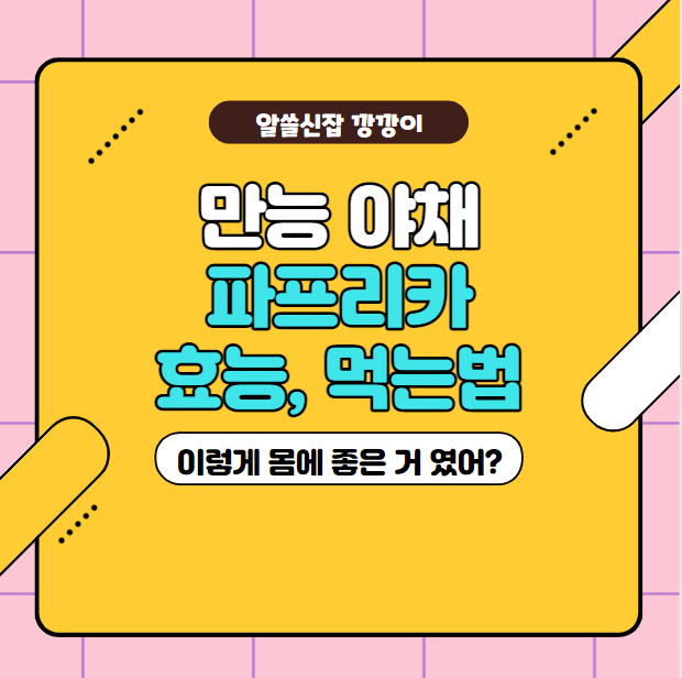  파프리카 효능과 먹는법 정리