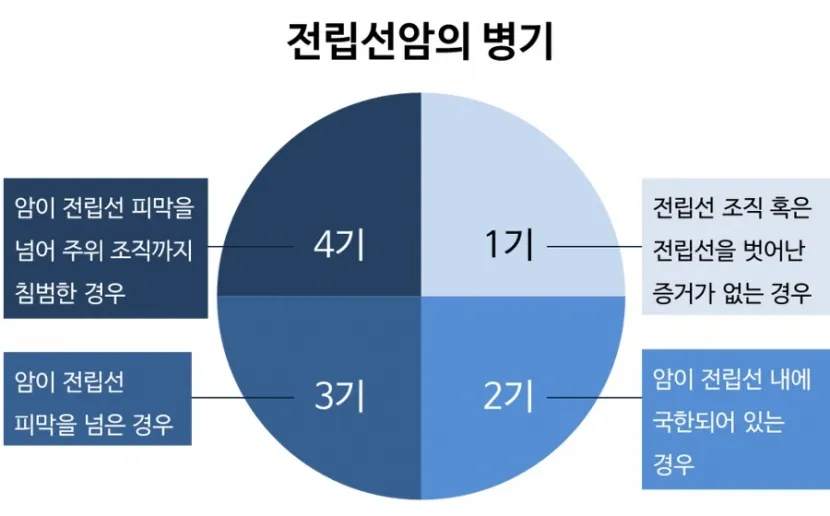 전립선암 초기증상