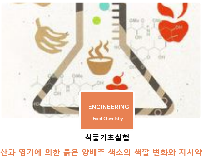 식품기초실험 | 산과 염기에 의한 붉은 양배추 색소의 색깔 변화와 지시약 식품기초실험 | 산과 염기에 의한 붉은 양배추 색소의 색깔 변화와 지시약
