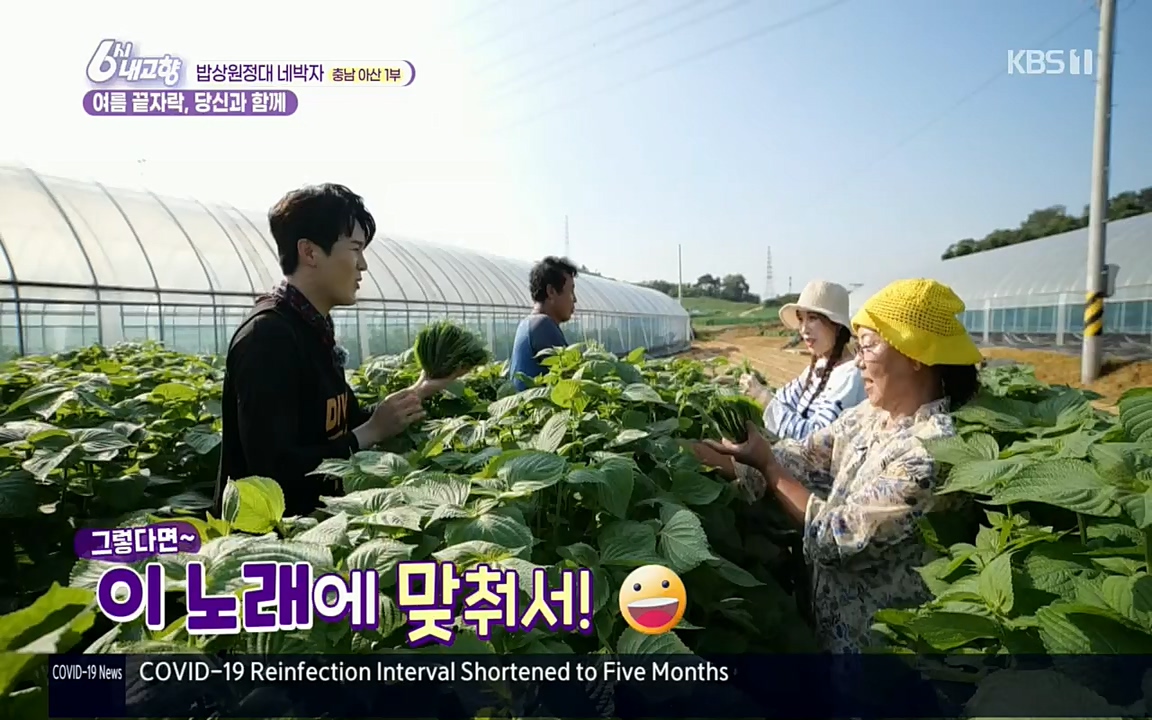 6시 내고향.E7608.220832p.H264-F1RST.mp4_20220901_204411.367.jpg