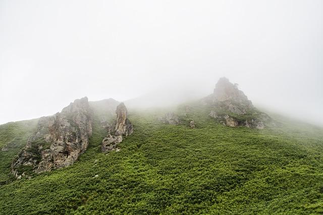 전립선 결찰술 비용