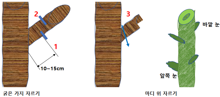 전정 방법