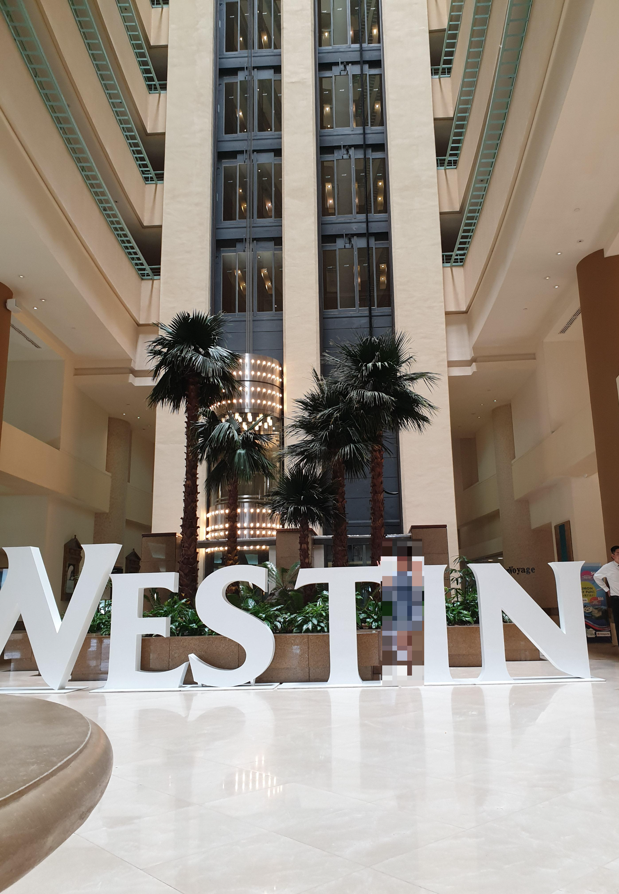 괌 웨스틴 호텔 리조트 가족 여행 추천 : 괌에서 품격 있는 휴가 즐기기