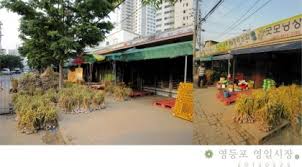 영일 이미지