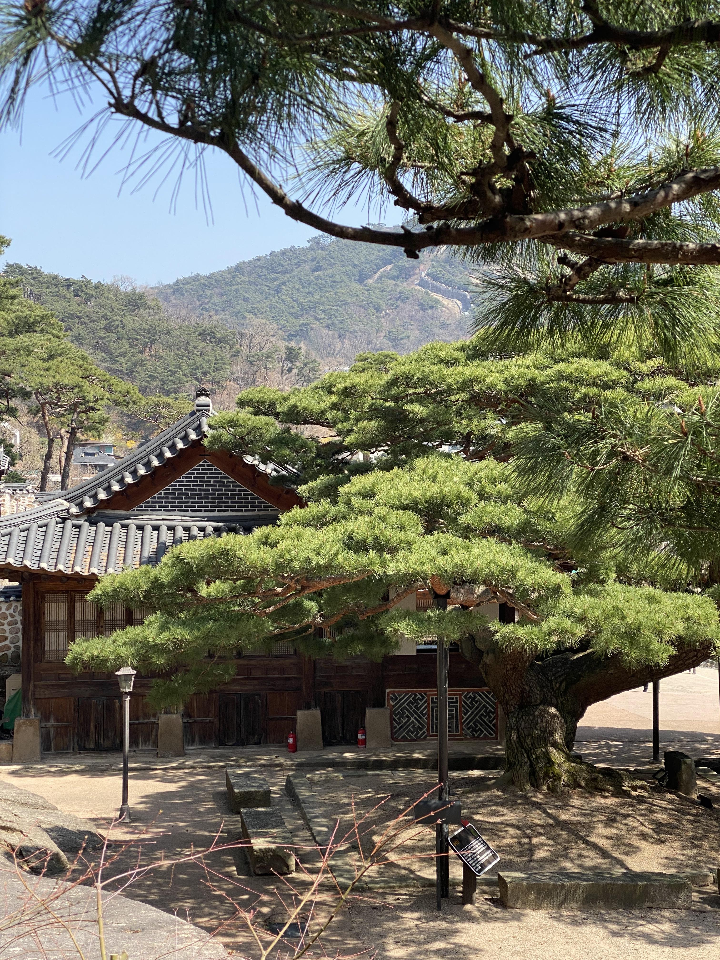  서울나들이 부암동; 석파정 서울미술관 사람없는 석파정 데이트 추천