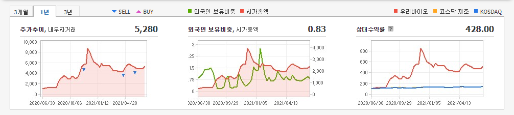 대마-관련주