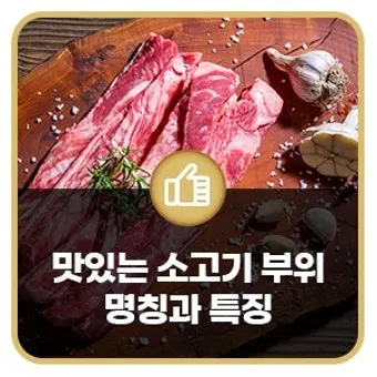 소고기 부위 가장 부드러운 순서대로 10선_11