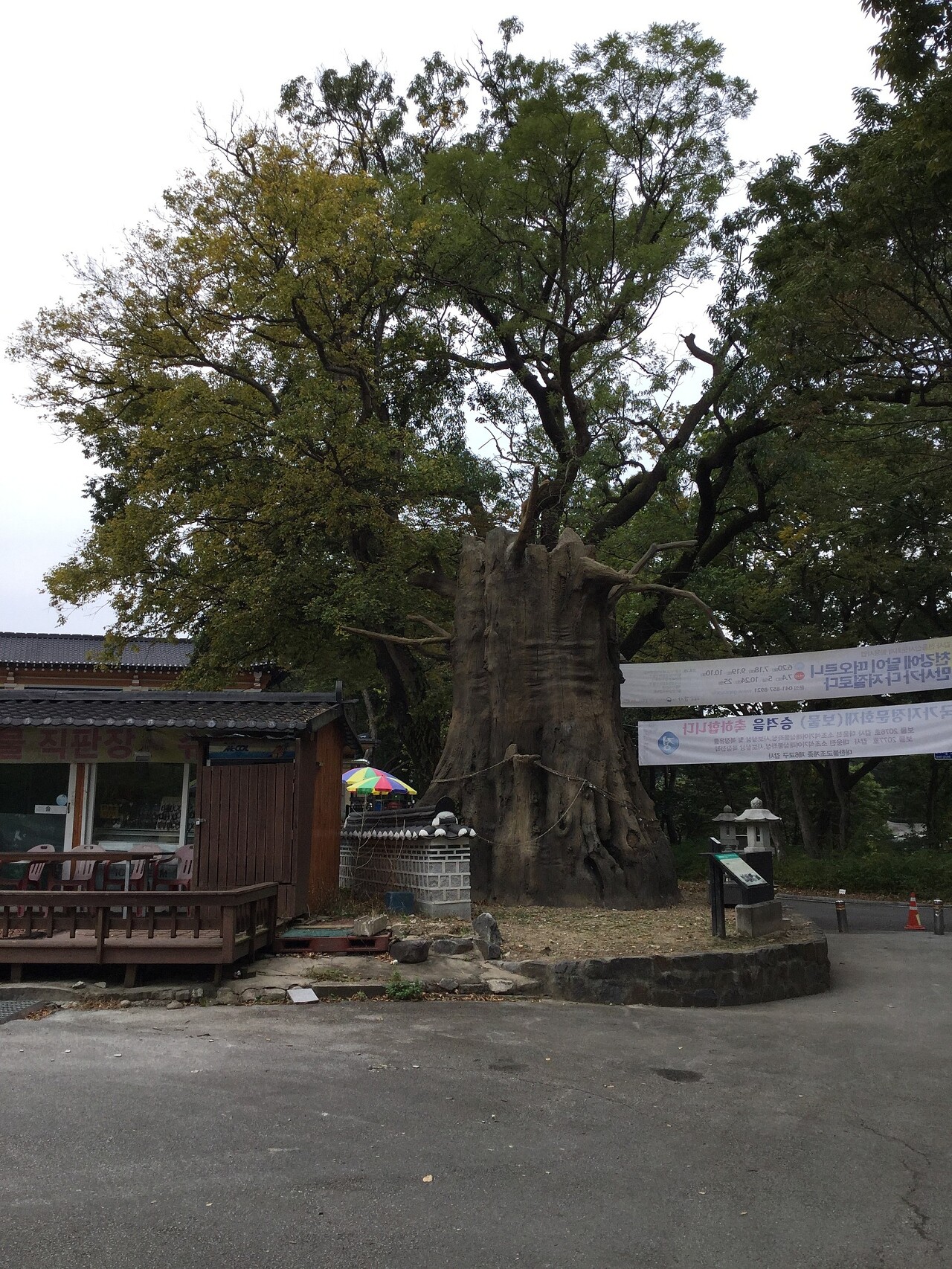  공주 중장리 갑사 괴목대신