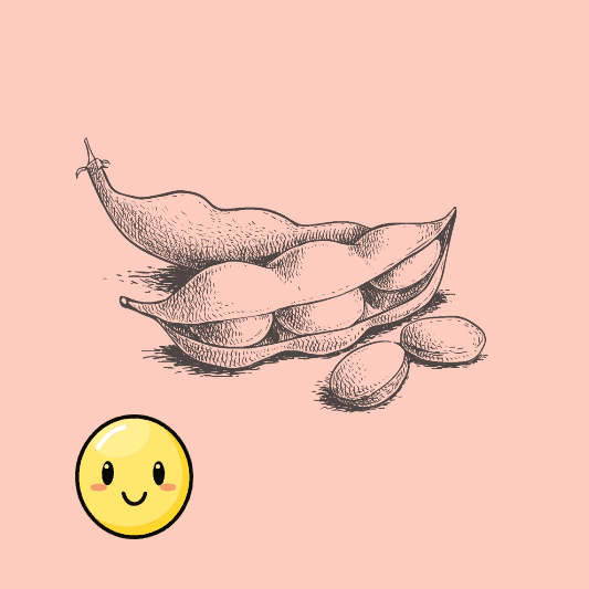 장단콩